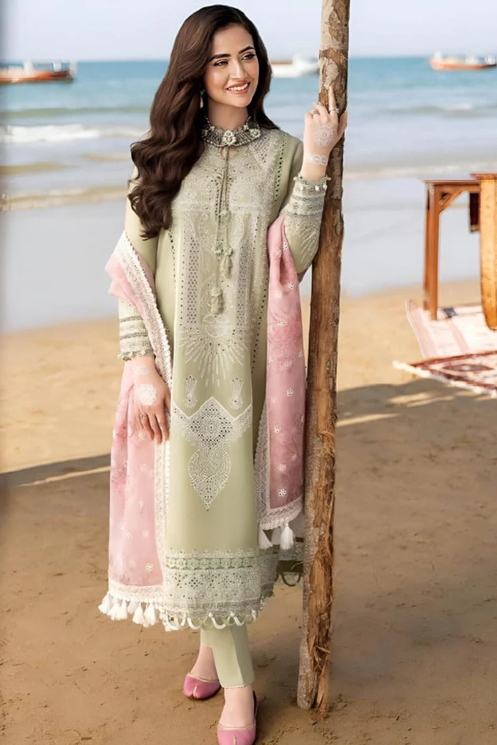 AR-CH10 Embroidered ChickenKari Lawn Suit With Printed Organza Dupatta