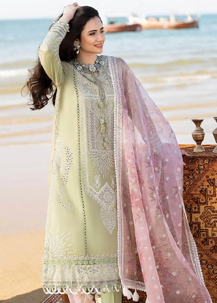 AR-CH10 Embroidered ChickenKari Lawn Suit With Printed Organza Dupatta