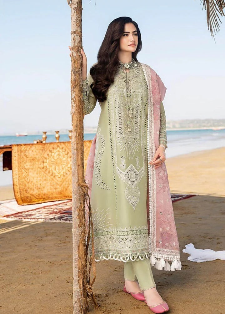 AR-CH10 Embroidered ChickenKari Lawn Suit With Printed Organza Dupatta